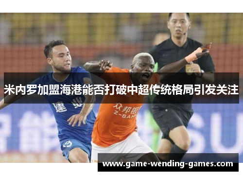 米内罗加盟海港能否打破中超传统格局引发关注