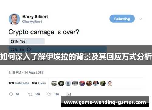 如何深入了解伊埃拉的背景及其回应方式分析