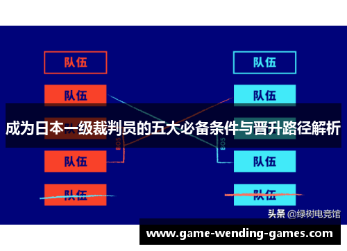 成为日本一级裁判员的五大必备条件与晋升路径解析