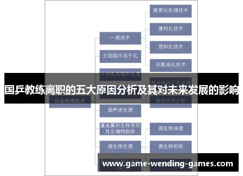 国乒教练离职的五大原因分析及其对未来发展的影响
