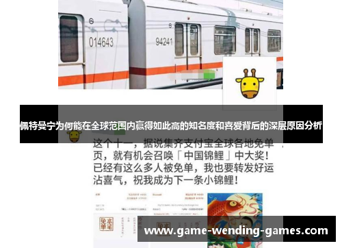 佩特曼宁为何能在全球范围内赢得如此高的知名度和喜爱背后的深层原因分析
