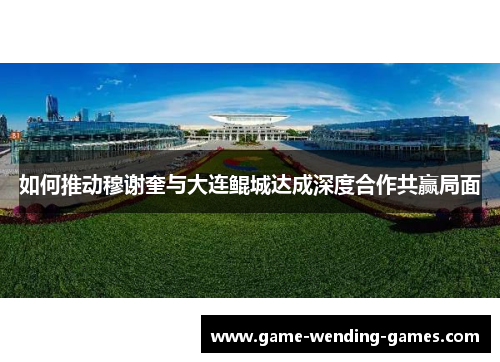 如何推动穆谢奎与大连鲲城达成深度合作共赢局面