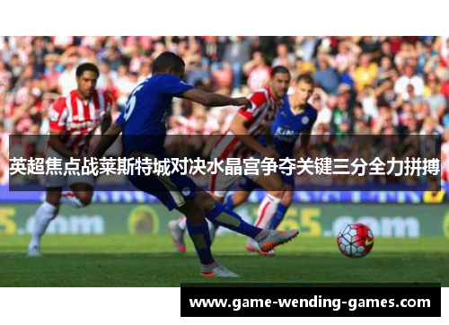 英超焦点战莱斯特城对决水晶宫争夺关键三分全力拼搏 英超焦点战莱斯特城对决水晶宫争夺关键三分全力拼搏